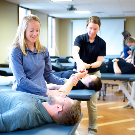physical therapy preceptor
